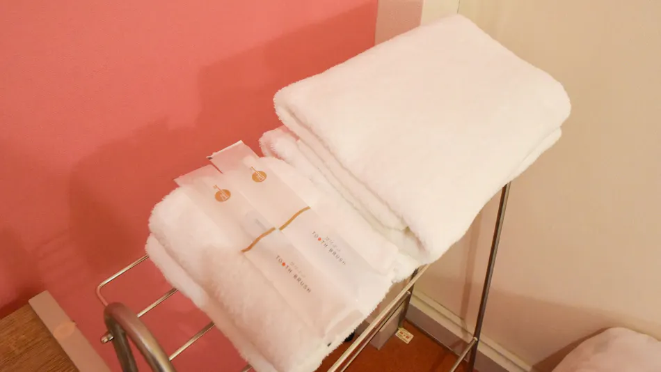 Comfy Stay Sarusawaike
