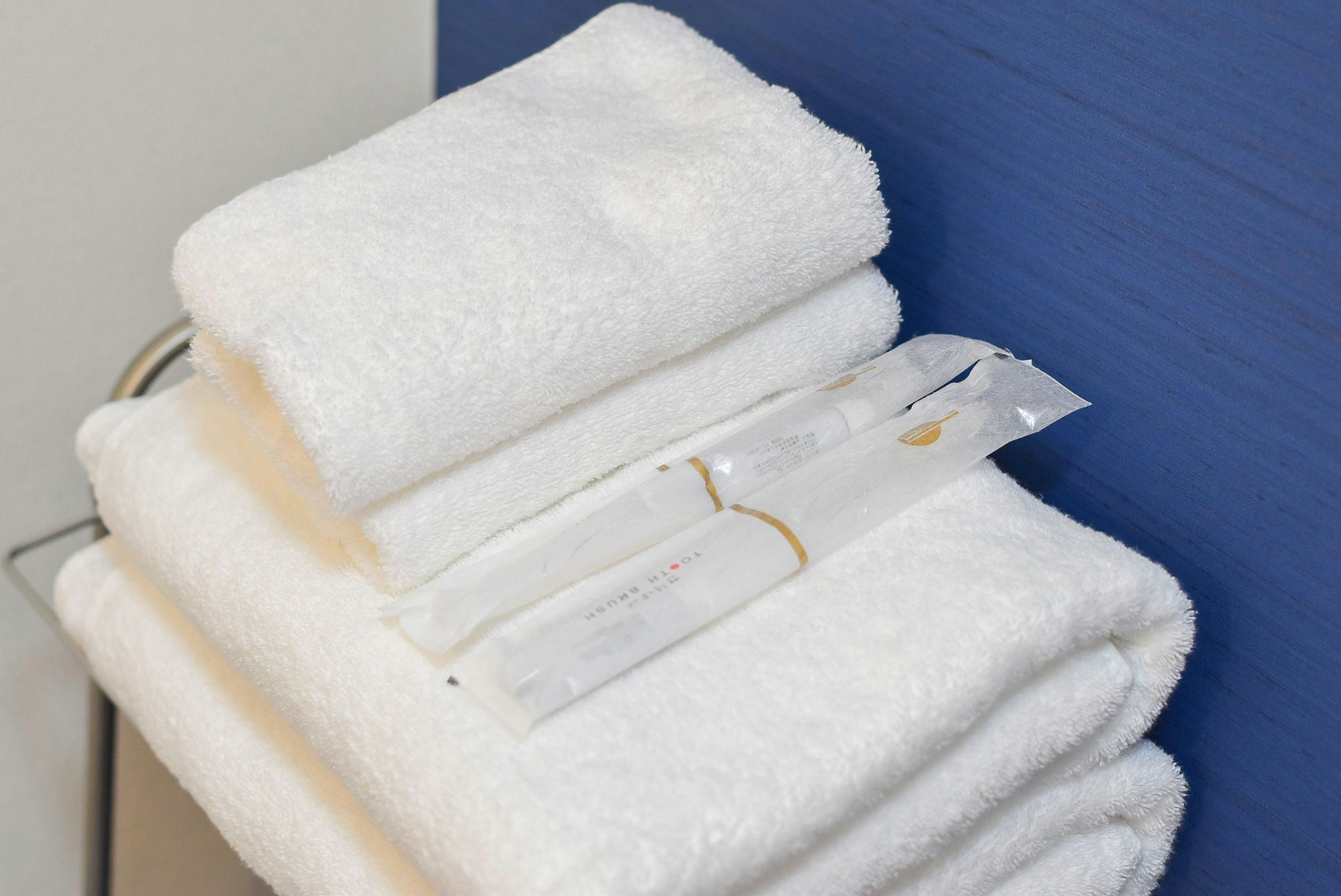 Comfy Stay Sarusawaike