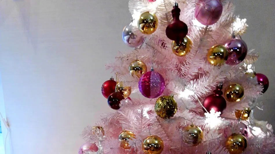 Natsuyaki Onsen Aoyagi-tei