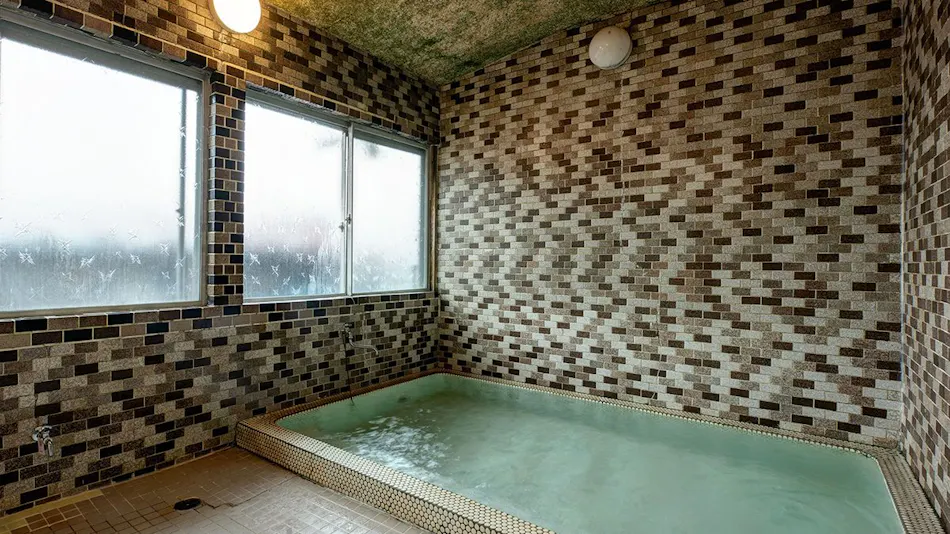 Natsuyaki Onsen Aoyagi-tei