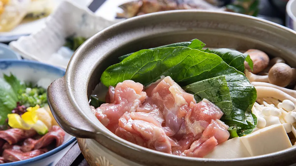 Natsuyaki Onsen Aoyagi-tei