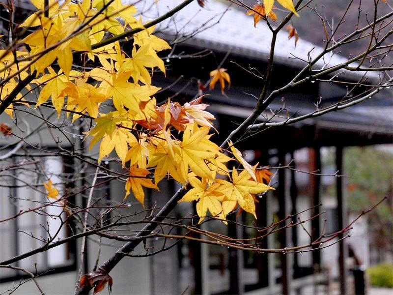 Ryokan Izumiso
