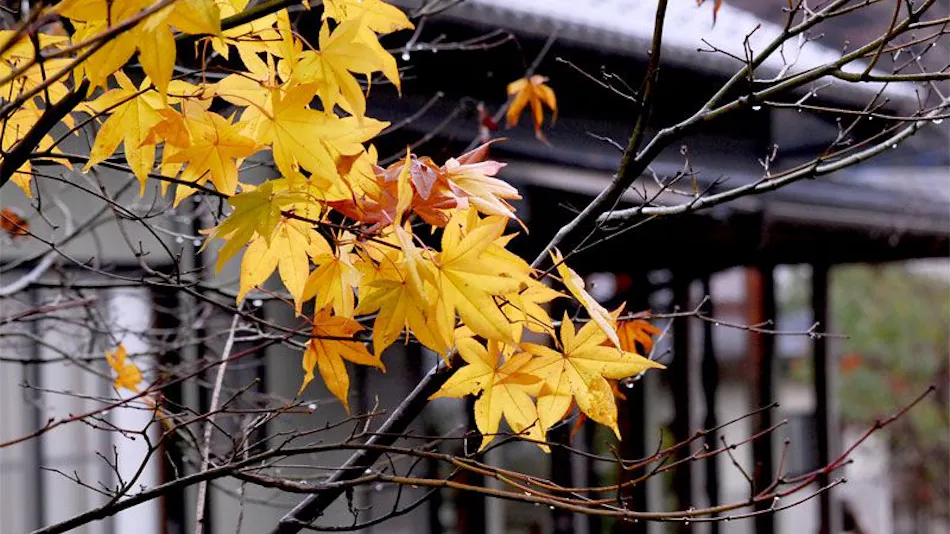Ryokan Izumiso