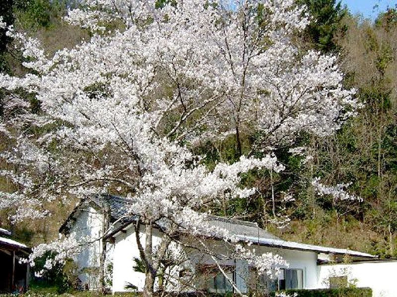 Ryokan Izumiso