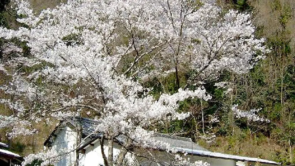 Ryokan Izumiso