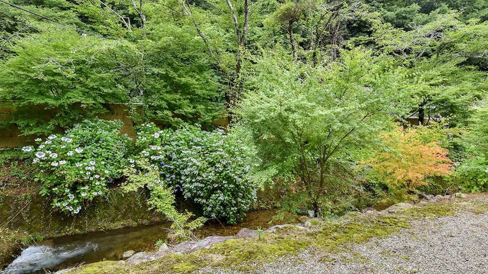 Ryokan Izumiso
