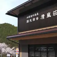 Seiransou pada Musim Mekar Sakura