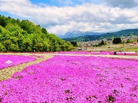 折立温泉　ホテルさかえや