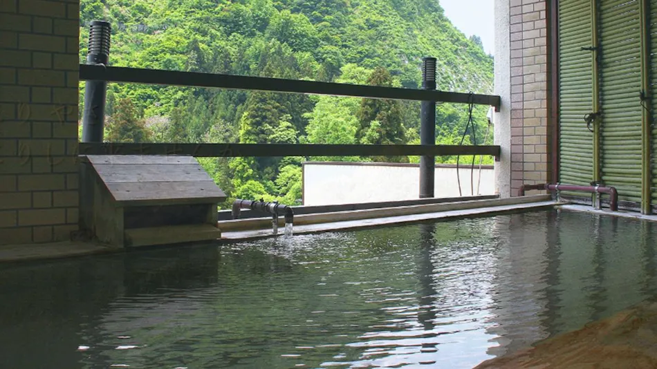 Oritate Onsen Hotel Sakaeya
