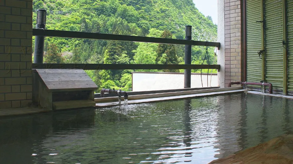 Oritate Onsen Hotel Sakaeya