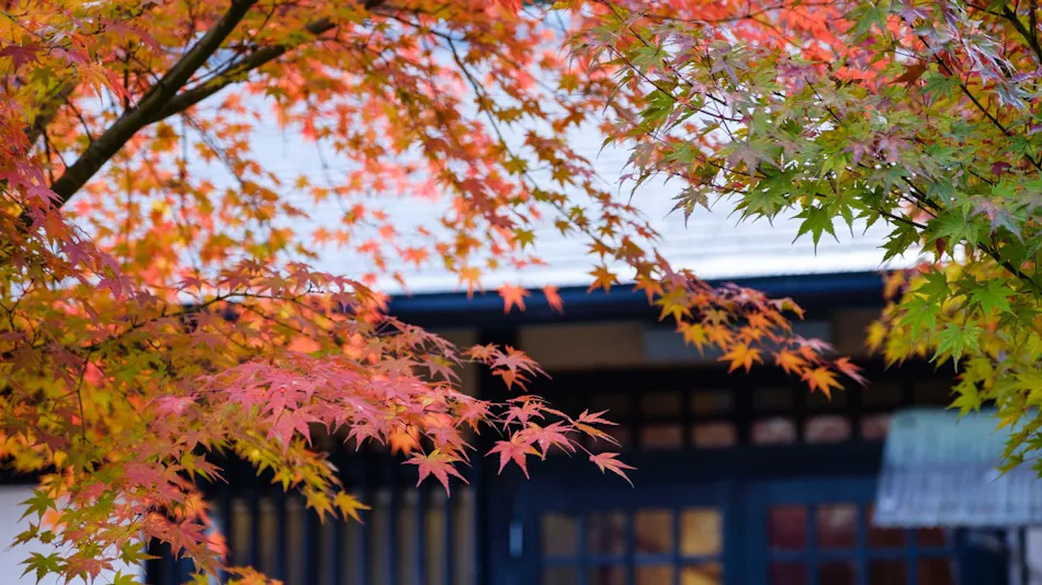Hiyoshi Forest Resort Yama no Ie