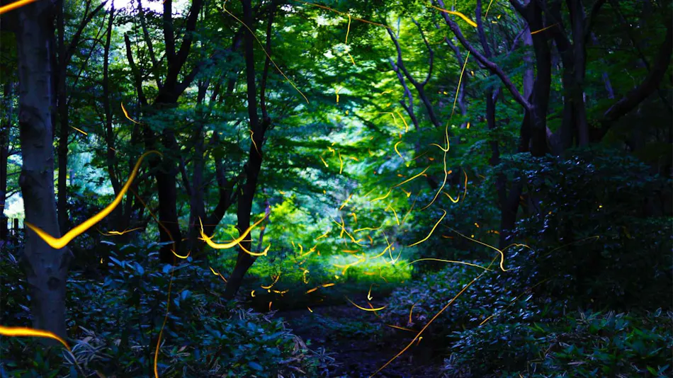 Hiyoshi Forest Resort Yama no Ie
