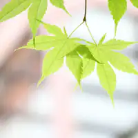 주변