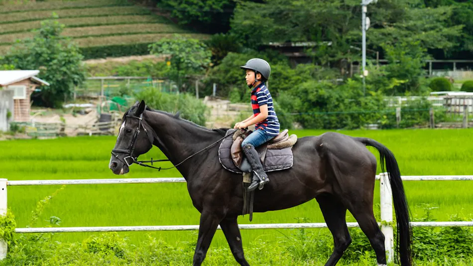 Lovely Horse Villa