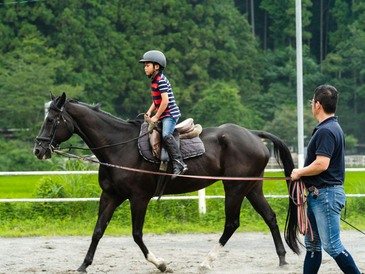 Lovely Horse Villa