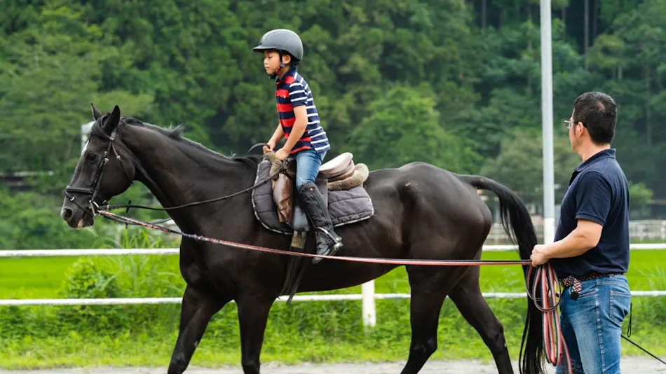 Lovely Horse Villa
