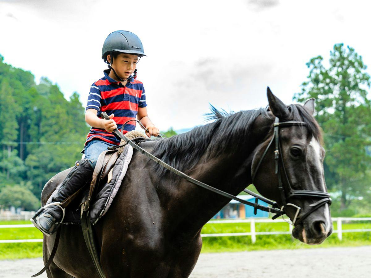Lovely Horse Villa