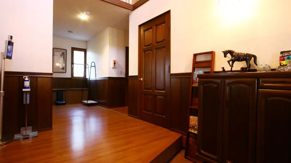 Lovely Horse Villa
