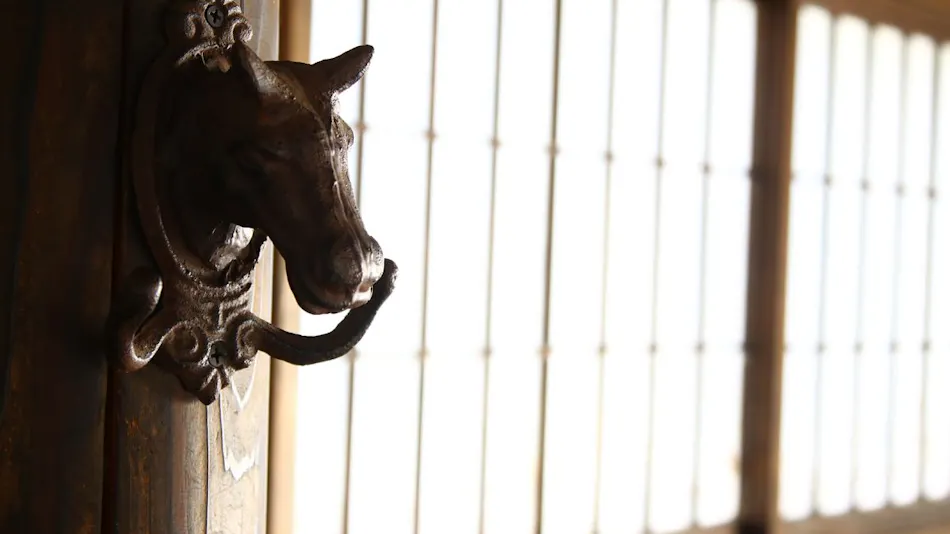 Lovely Horse Villa