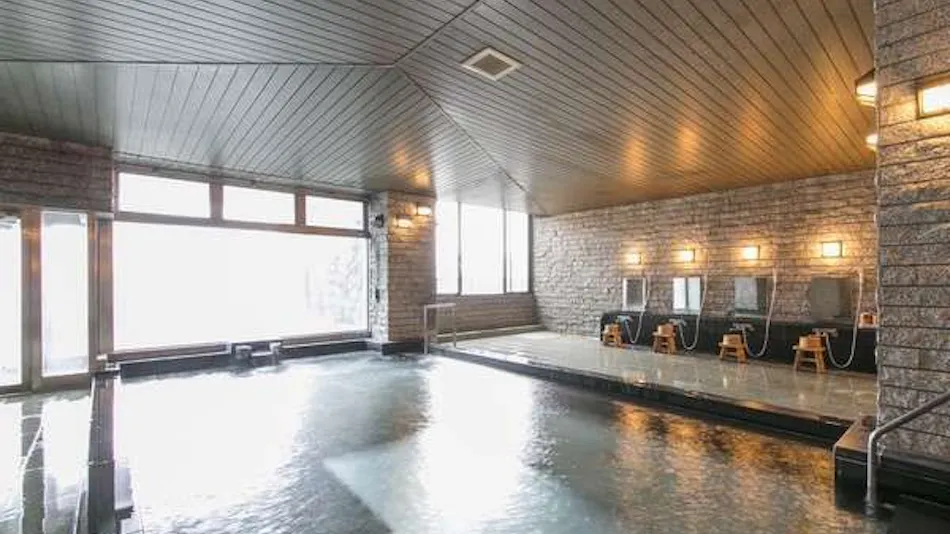 Hotel de Marronnier Gero Onsen