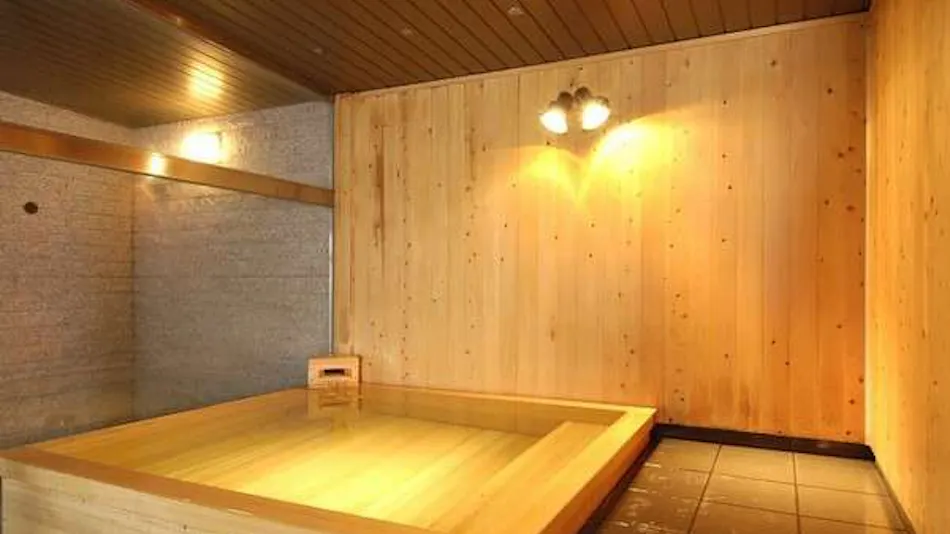 Hotel de Marronnier Gero Onsen