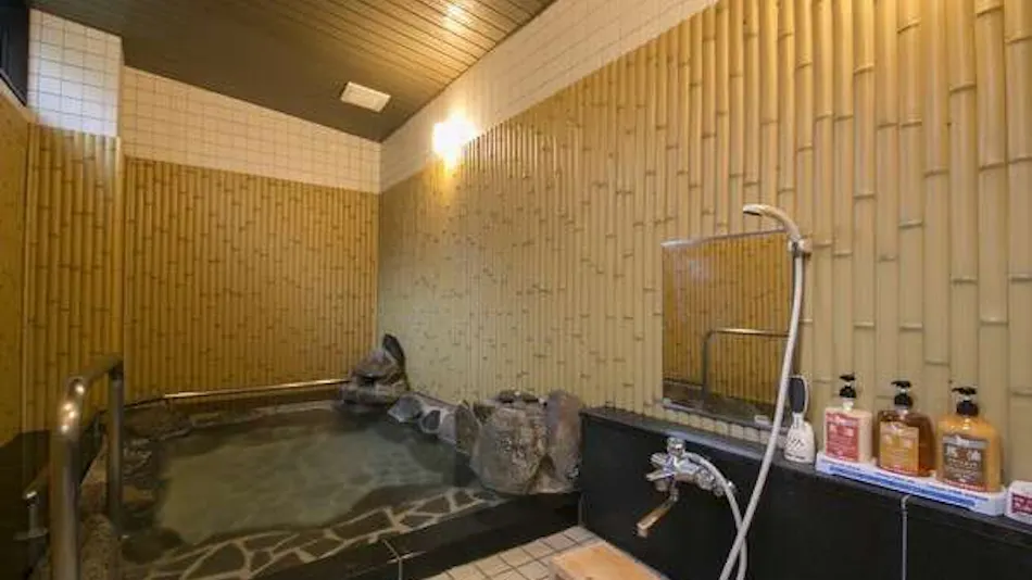 Hotel de Marronnier Gero Onsen