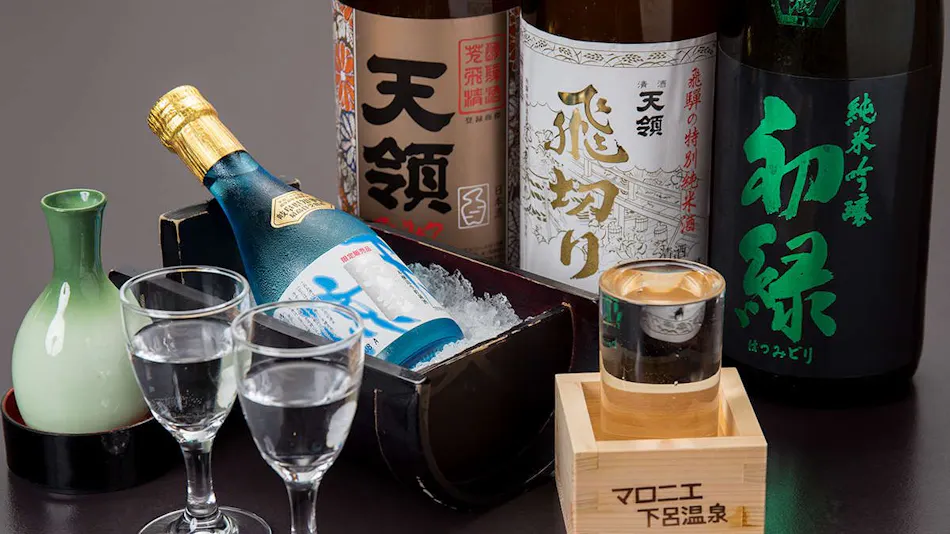 Hotel de Marronnier Gero Onsen
