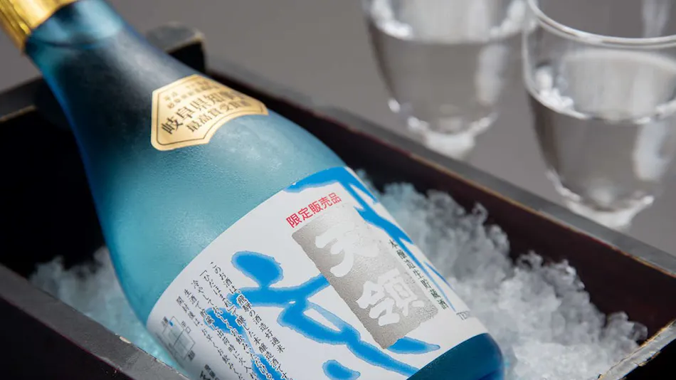 Hotel de Marronnier Gero Onsen