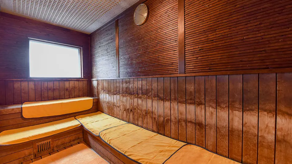 Hotel de Marronnier Gero Onsen