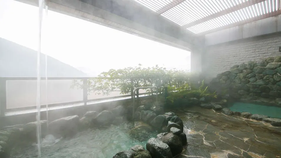 Hotel de Marronnier Gero Onsen