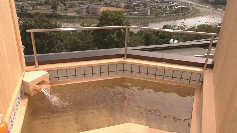 Hotel de Marronnier Gero Onsen