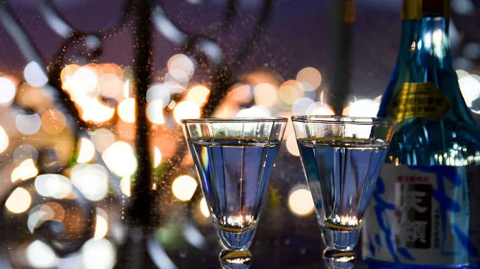 Hotel de Marronnier Gero Onsen