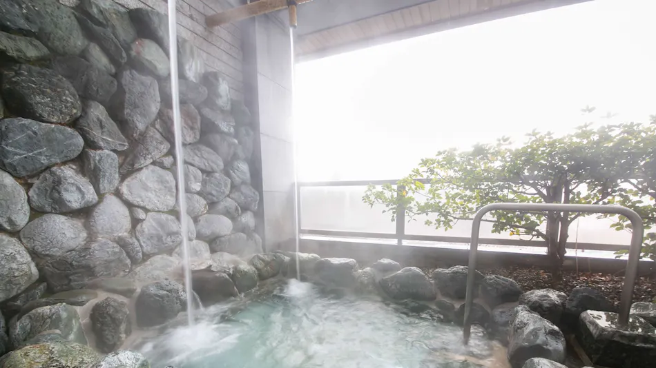 Hotel de Marronnier Gero Onsen