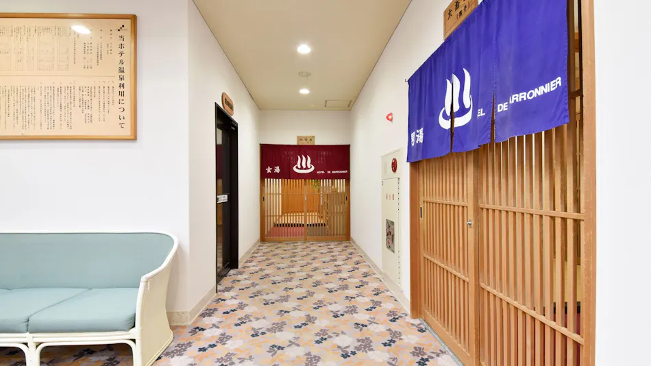 Hotel de Marronnier Gero Onsen