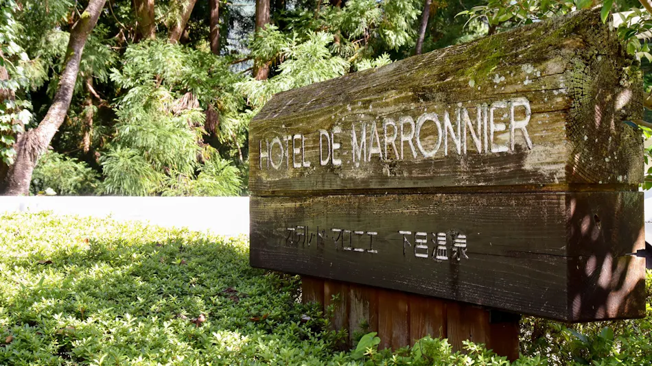 Hotel de Marronnier Gero Onsen