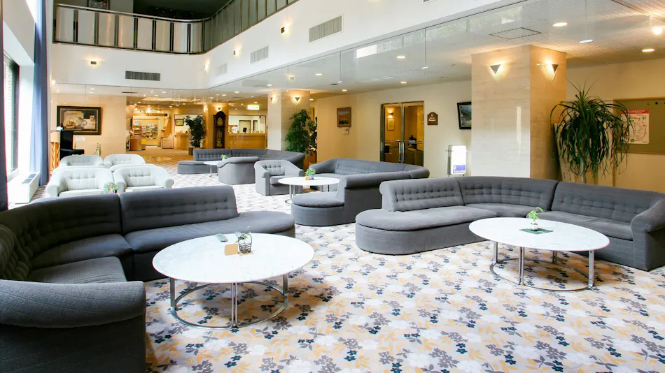 Hotel de Marronnier Gero Onsen