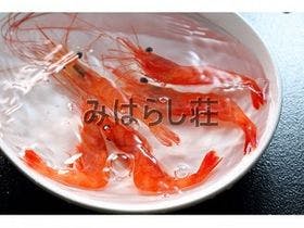 海鮮の宿 みはらし荘