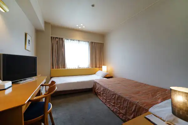 Twin (Single + Sofa Bed)