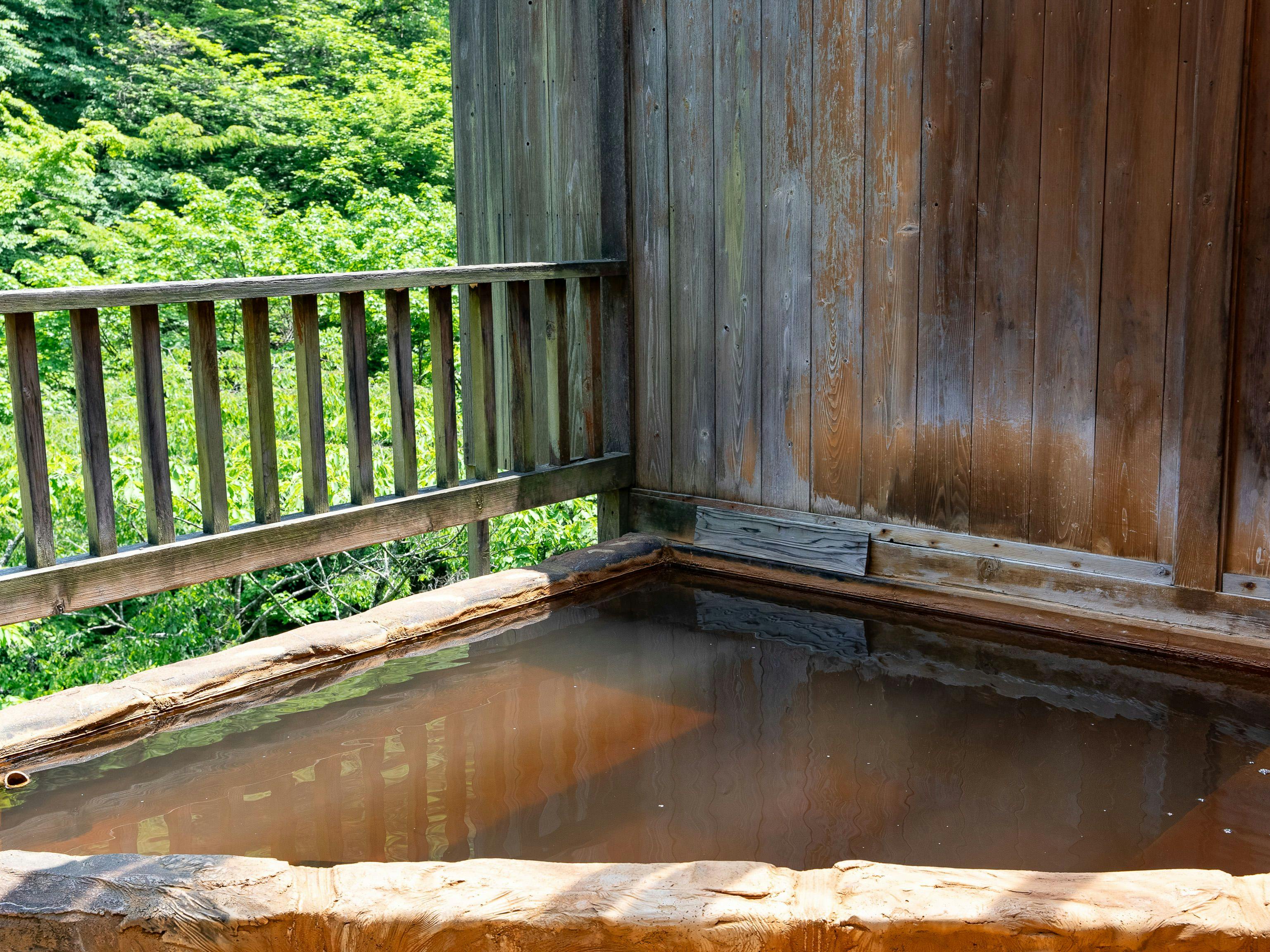 Shiobara Onsen Shionoyu Kashiwaya Ryokan