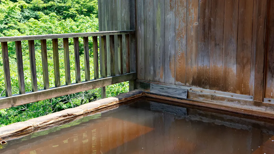 Shiobara Onsen Shionoyu Kashiwaya Ryokan