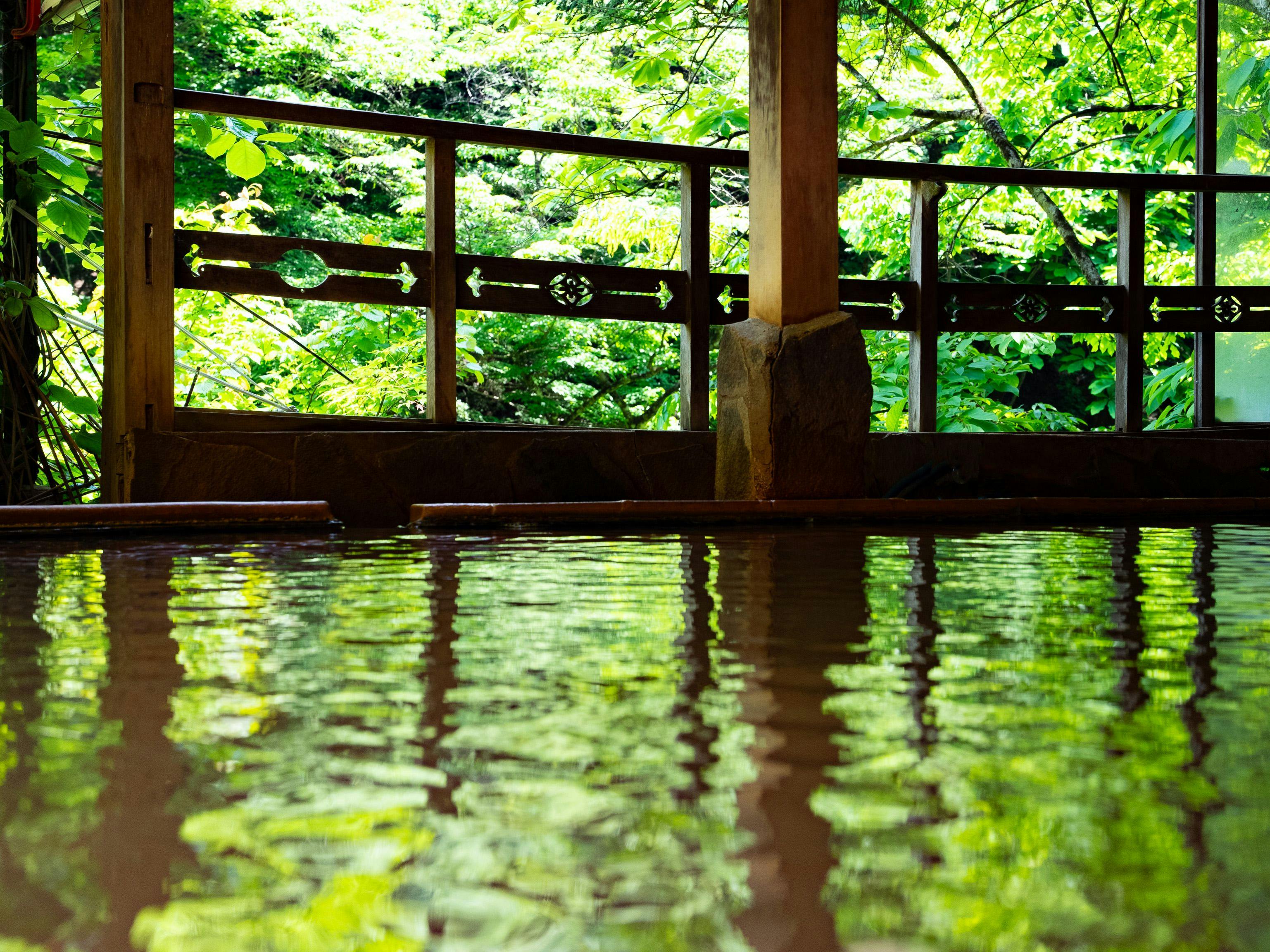 Shiobara Onsen Shionoyu Kashiwaya Ryokan