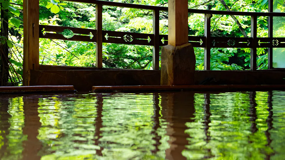 Shiobara Onsen Shionoyu Kashiwaya Ryokan