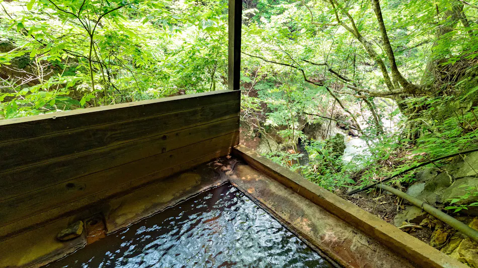 Shiobara Onsen Shionoyu Kashiwaya Ryokan