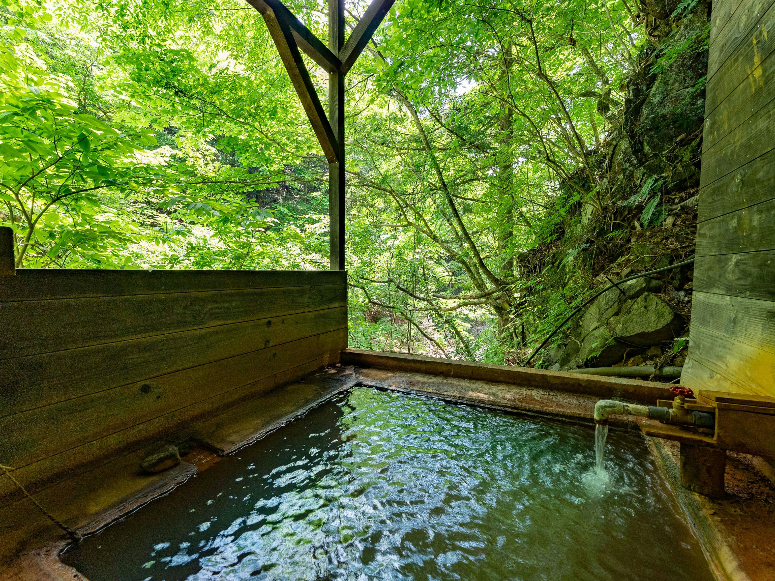 Shiobara Onsen Shionoyu Kashiwaya Ryokan