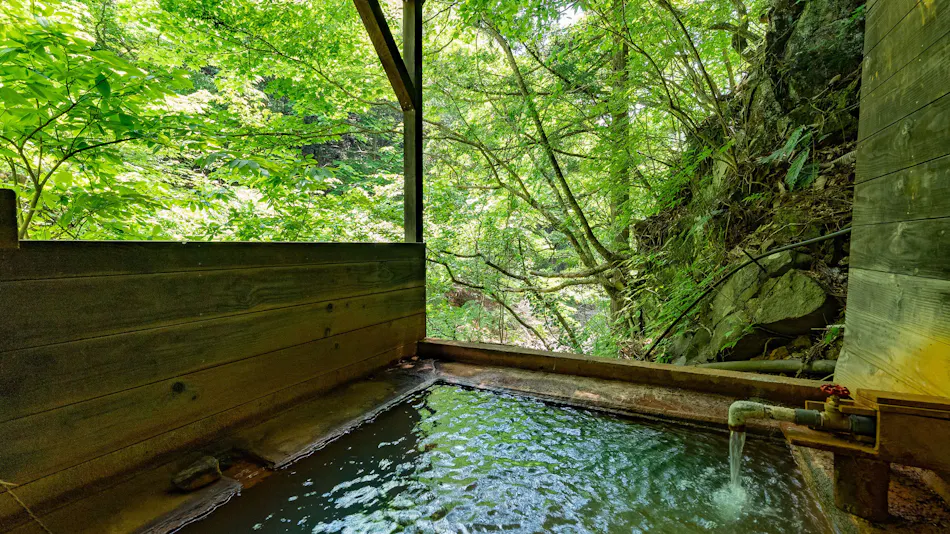 Shiobara Onsen Shionoyu Kashiwaya Ryokan
