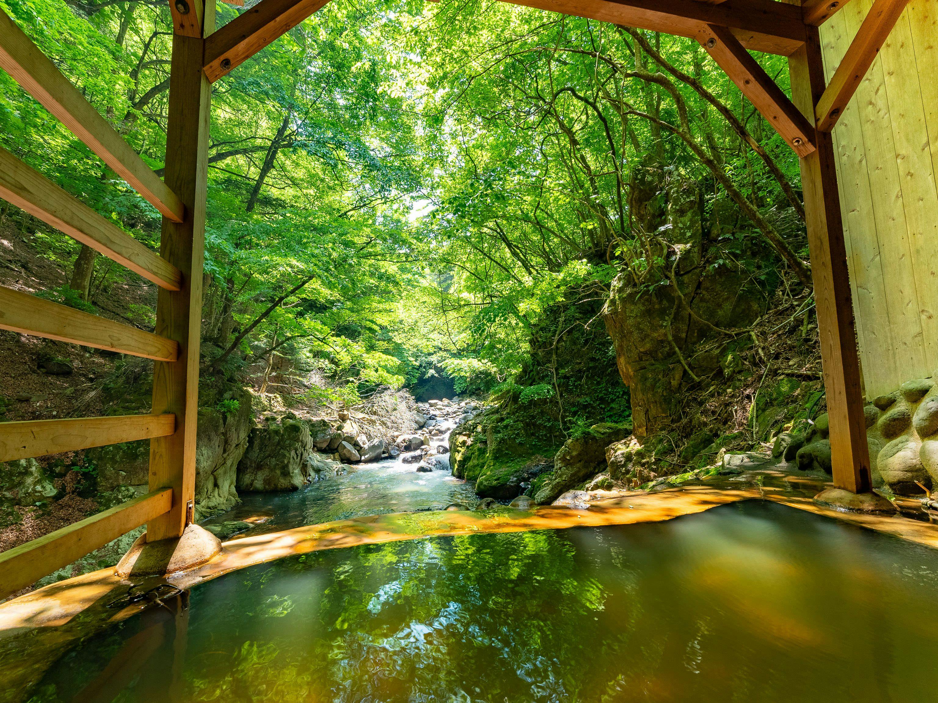Shiobara Onsen Shionoyu Kashiwaya Ryokan