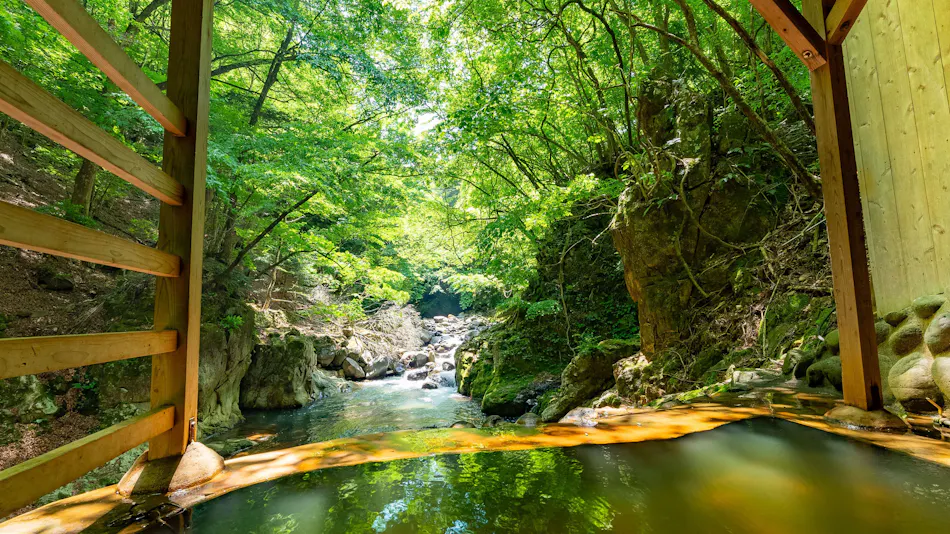 Shiobara Onsen Shionoyu Kashiwaya Ryokan