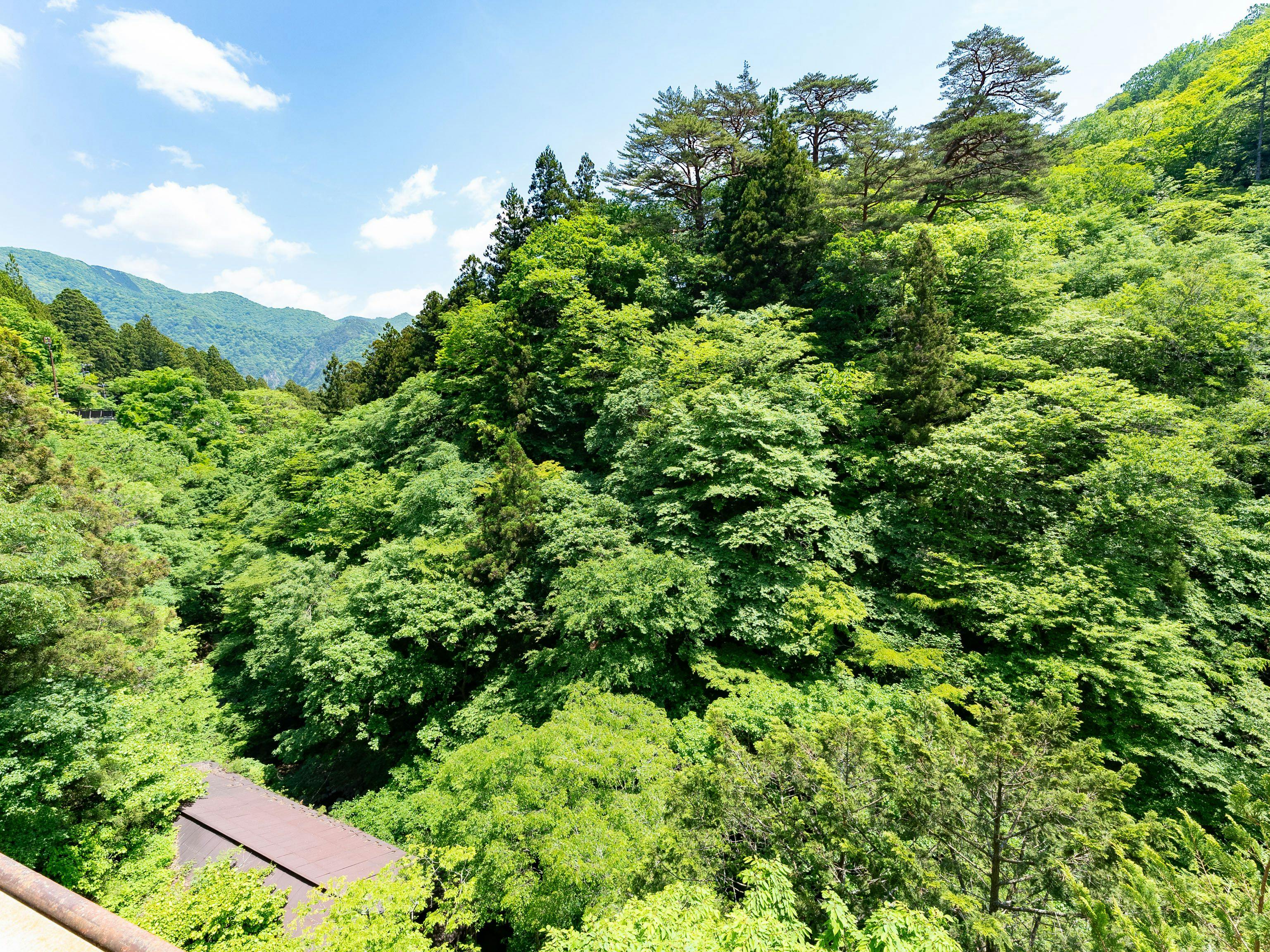 Shiobara Onsen Shionoyu Kashiwaya Ryokan