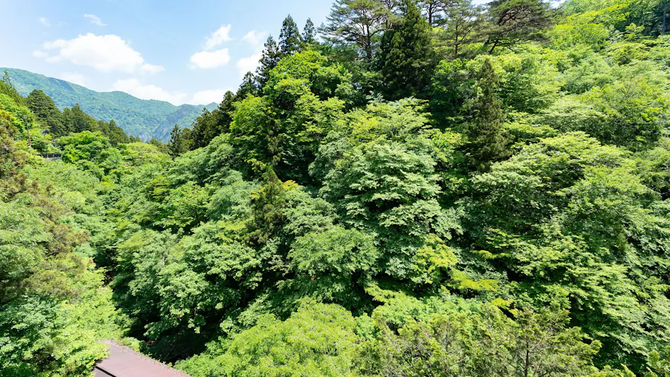 Shiobara Onsen Shionoyu Kashiwaya Ryokan