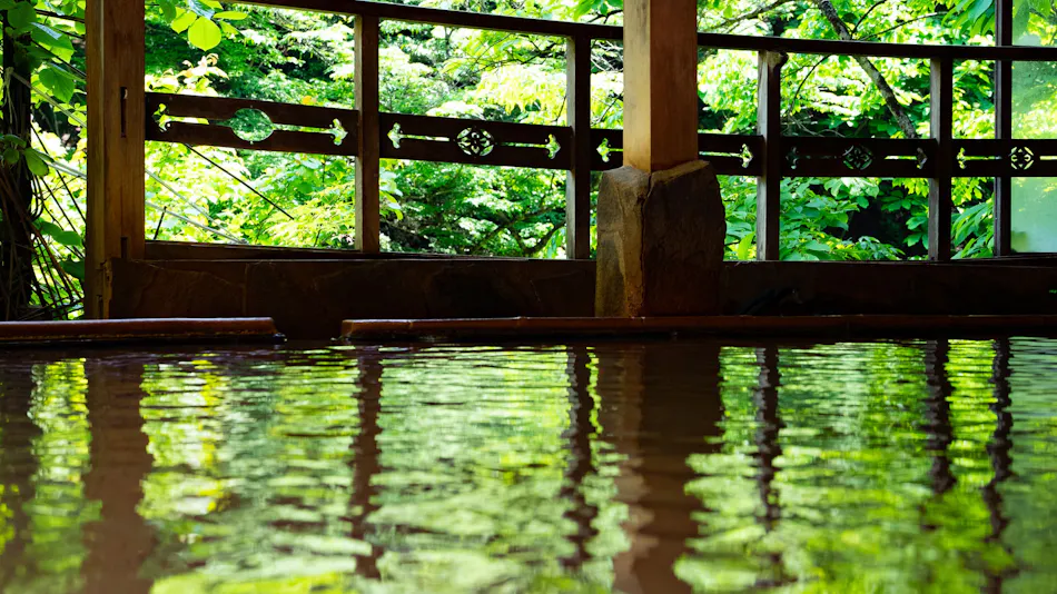 Shiobara Onsen Shionoyu Kashiwaya Ryokan